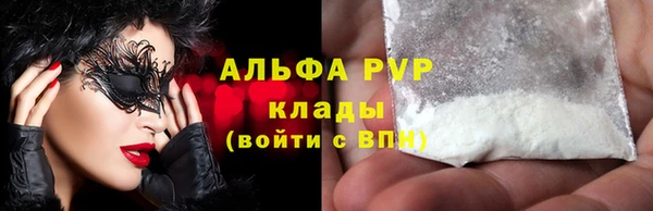 PSILOCYBIN Майский