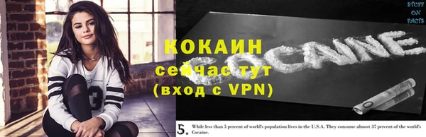 PSILOCYBIN Майский