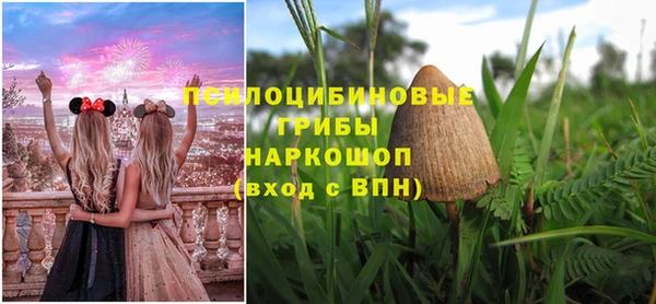 PSILOCYBIN Майский