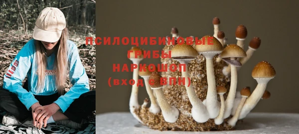герыч Магас